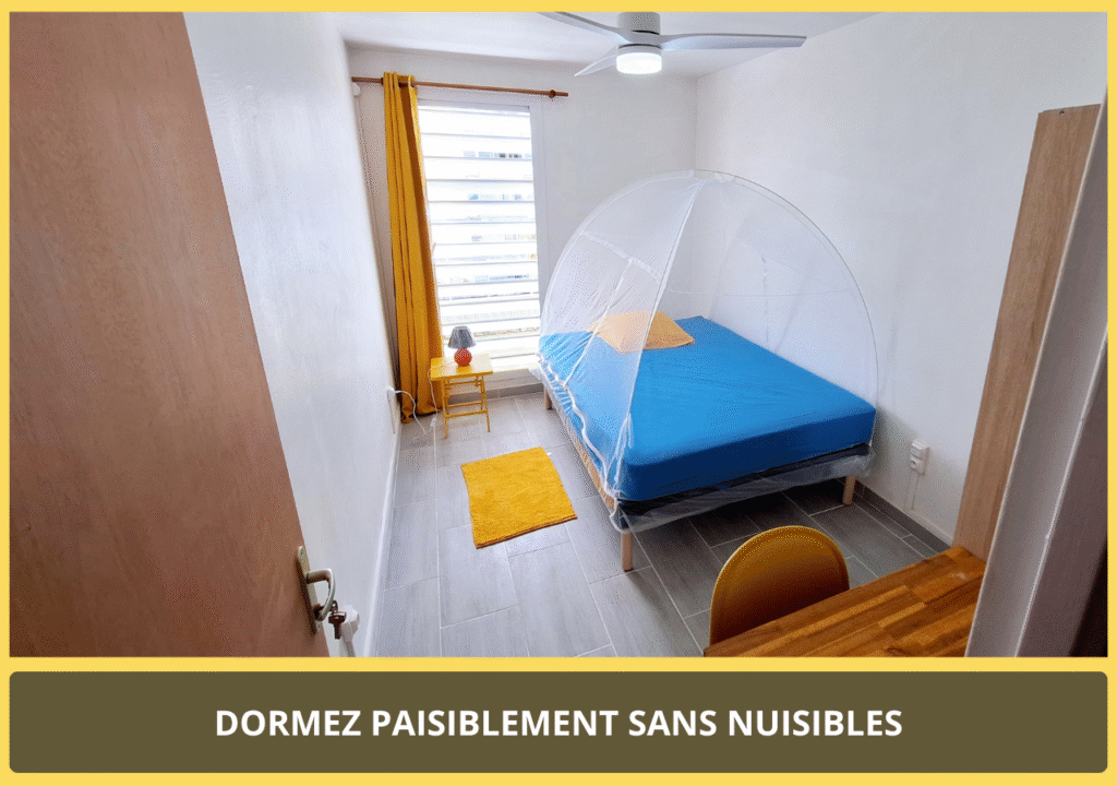 photo-5-chambre-carnaval-soufrière-location-chambre-chez-l-habitant-ville-les-abymes-proche-aéroport-port-lycée-jarry-site-chambre-d-hotes-guadeloupe.com
