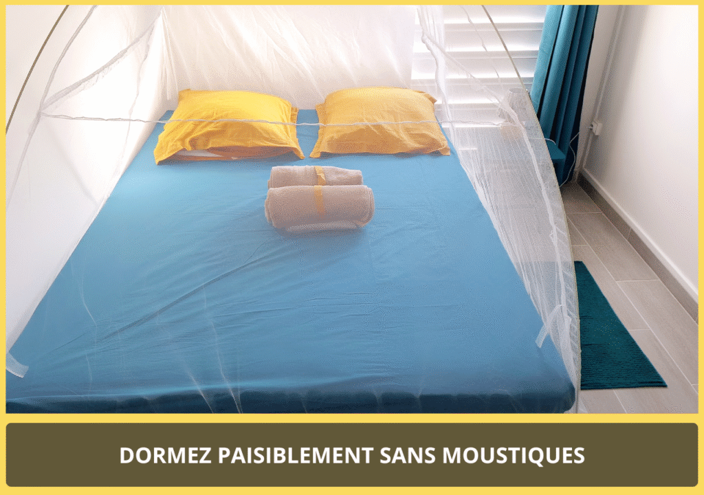 photo-5-chambre-carnaval-grande-terre-moustiquaire-location-chambre-chez-l-habitant-ville-les-abymes-proche-aéroport-port-lycée-jarry-site-chambre-d-hotes-guadeloupe.com