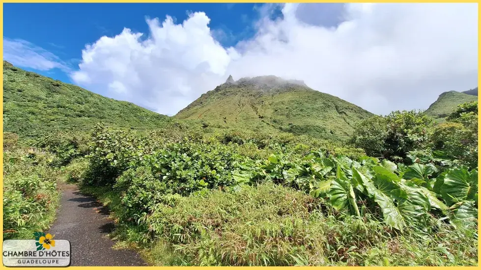 Vue dégagée sur le sommet imposant du volcan de la Soufrière prise depuis le parking de la Savane à Mulets, point de départ principal pour l'ascension