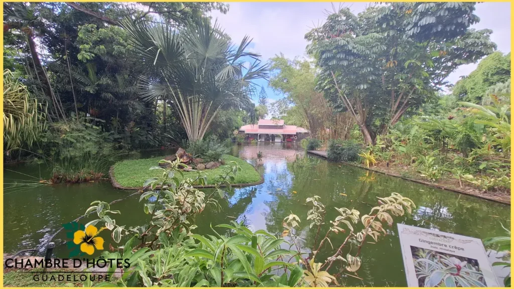 Entrée du Jardin Botanique de Deshaies offrant une vue paisible sur le bassin aux carpes koï.