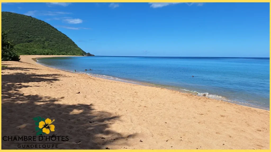 Paysage paradisiaque de la plage de Grande Anse à Deshaies avec son sable doré et ses cocotiers et amandiers.