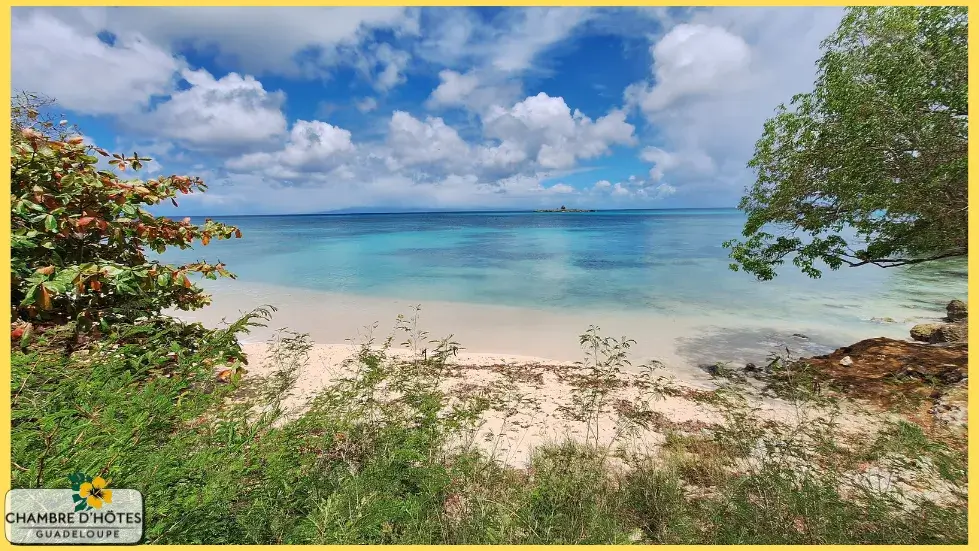 Une magnifique plage de sable blanc déserte et préservée, située dans la zone de Vieux-Fort au nord de Marie-Galante